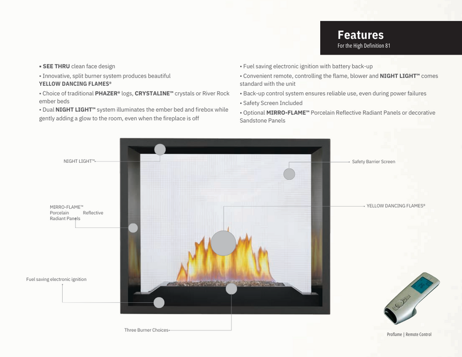 Napoleon High Definition Direct Vent See-Through Gas Fireplace