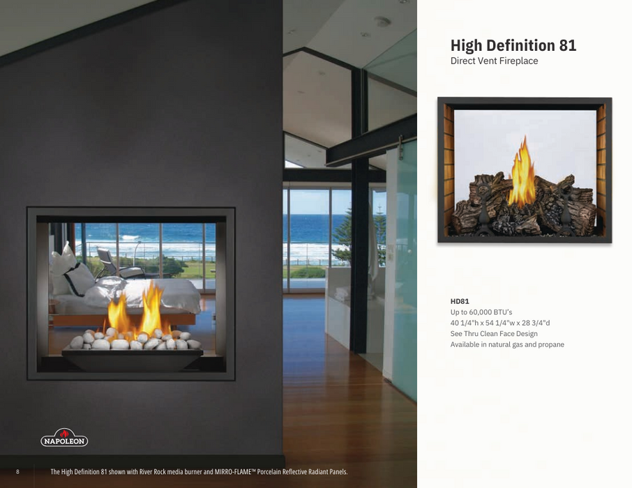 Napoleon High Definition Direct Vent See-Through Gas Fireplace