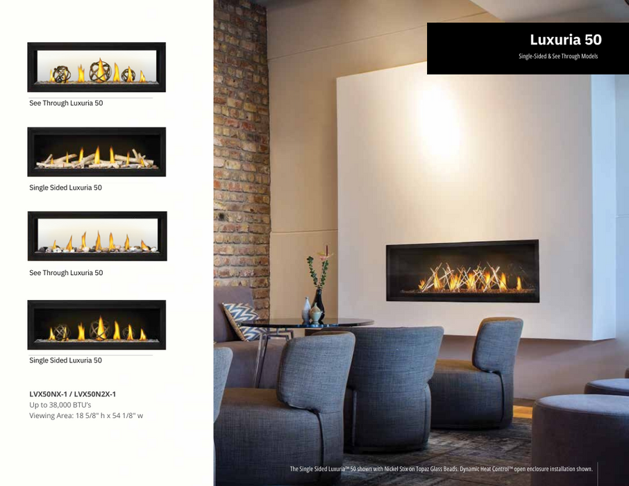 Napoleon Luxuria 50 Direct Vent See-Through Gas Fireplace