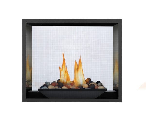 Napoleon High Definition Direct Vent See-Through Gas Fireplace