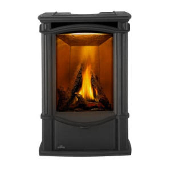 Napoleon Castlemore Direct Vent Gas Stove